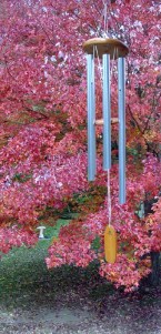 Red maple - wind chime