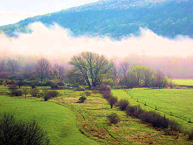 Farmland, Roseboom,NY