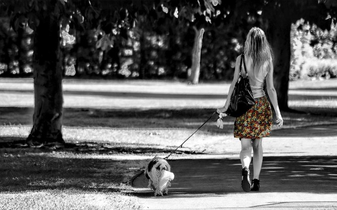 girl walkng dog