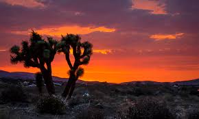 high desert sunset 3